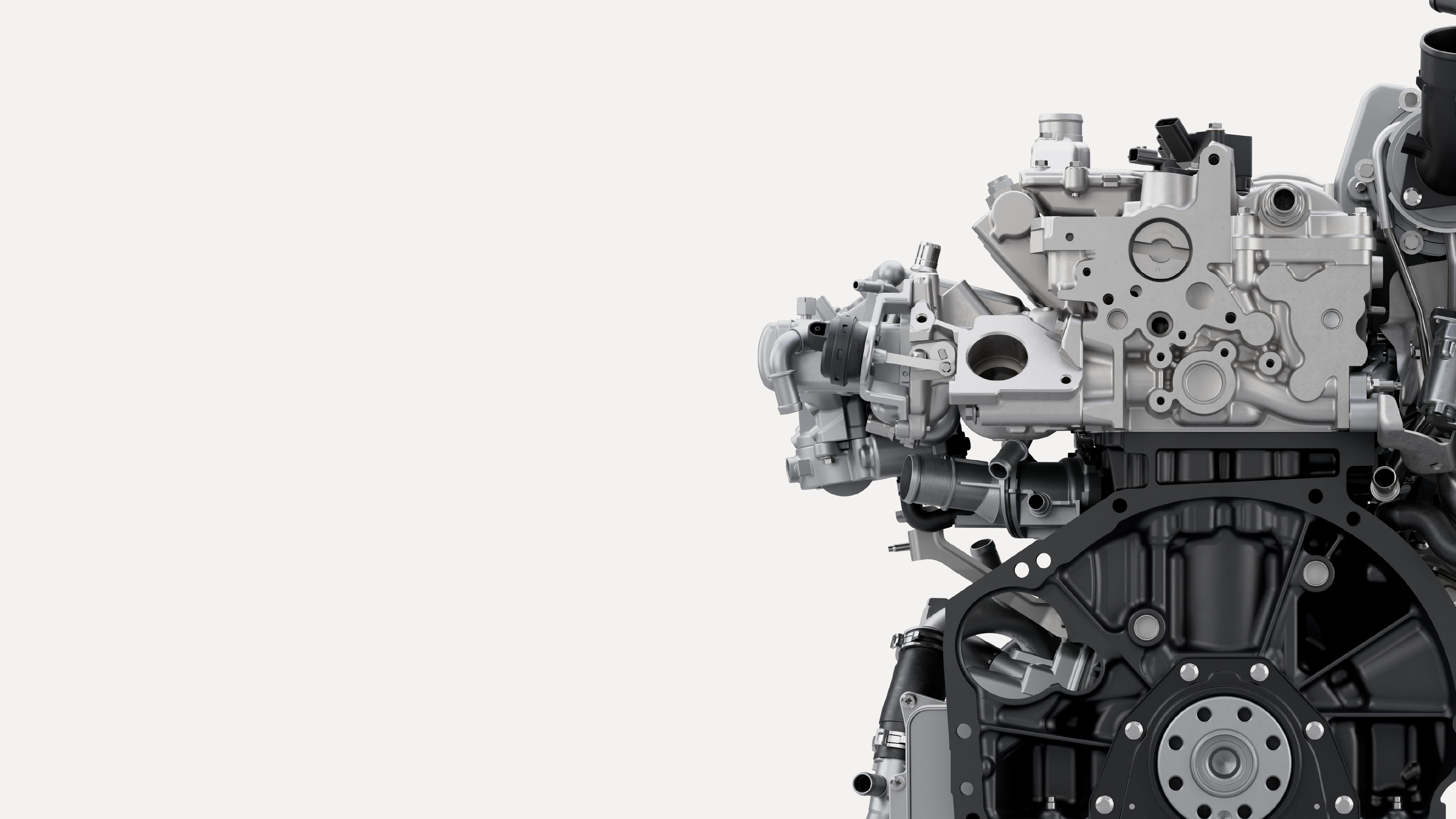 Header_Spotlight_Horse_M20-20