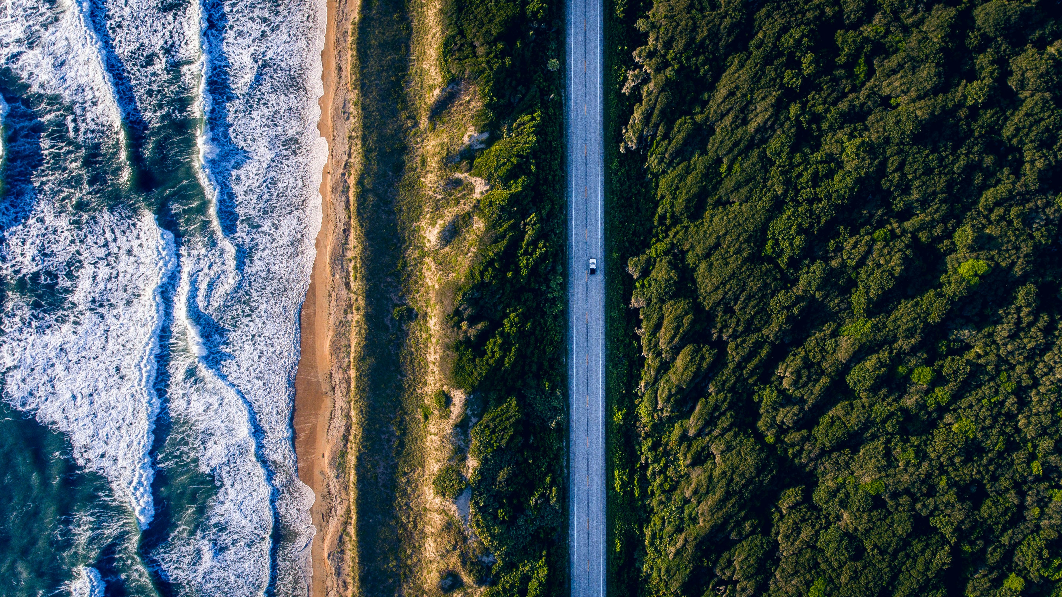 ocean, road, forest, car